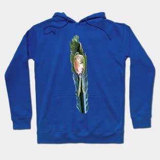 A Great Pheasant Hoodie